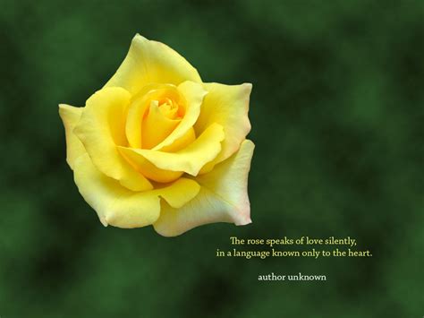 Because we see things so often, we see them less and less. Quotes About Yellow Flowers. QuotesGram