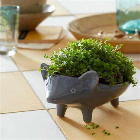 Make your garden picture perfect with our friends of joules. Hedgehog Home Garden Accessories : Ceramic Animal Planter