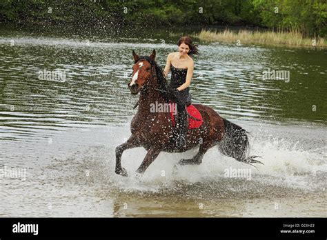 Horse Riding Through Water Hi Res Stock Photography And Images Alamy