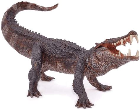 Some paleontologists believe that it may have eaten some of the dinosaurs that lived during the time, including the young of spinosaurus. Kaprosuchus Figure - A2Z Science & Learning Toy Store