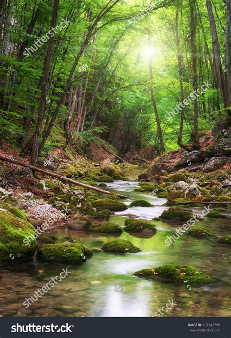 River Deep In Mountain Forest Nature Composition Stock