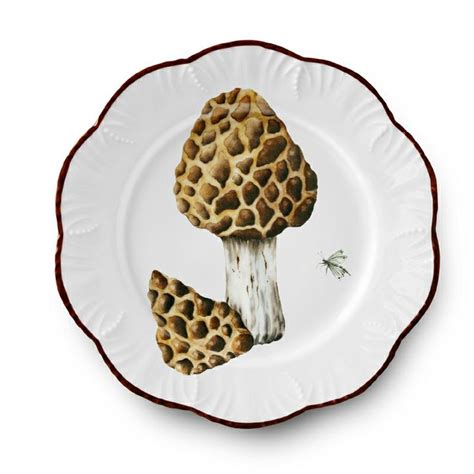 Hand Painted Wild Mushroom Plates Assiettes Plates Assiette Champignon