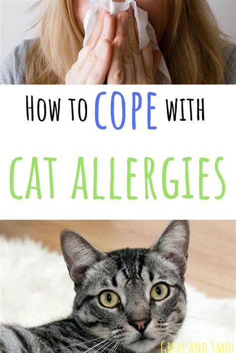 About 10% of allergic cats have a food allergy. How to Cope with Cat Allergies | Cat allergies, Cat ...