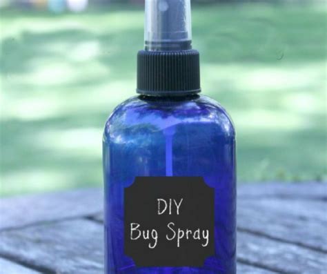 Academic research has described diy as behaviors where individuals. Homemade Bug Repellent (Made with Essential Oils)