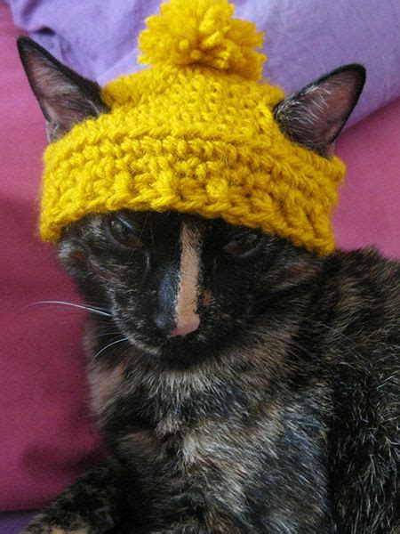Petals are crocheted in purple yarn and sturdied with pipe cleaners. 1249 best images about Cats Wearing Hats on Pinterest ...
