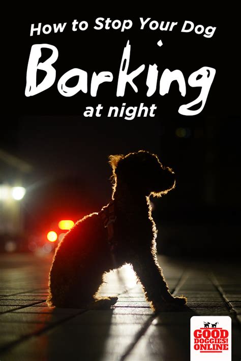 Whether it's your own dog or your neighbor's dog barking at night, it must be stopped before disputes and sleep problems are if anything is going to trigger your neighbors to make a complaint about your dog's noise, it's barking during the night that will do it. How to Get Your Dog to Stop Barking at Night Time | Dog ...