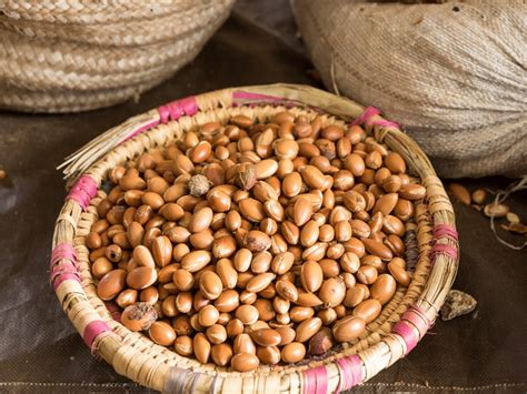 Best Quality Of Moroccan Argan Oil Tips And Tricks Morocco Travel Safe