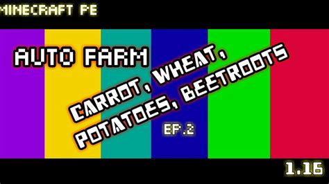 In this short tutorial i go over everything you need to know about the new carrots and potatoes, soon to be added in 1.4. MINECRAFT PE Ep.2| AUTOFARM (CARROTS. WHEAT. P0TATOES ...