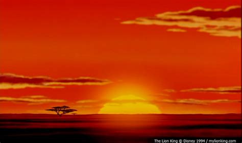The Lion King Images Sunrise Hd Wallpaper And Background Photos 27791483