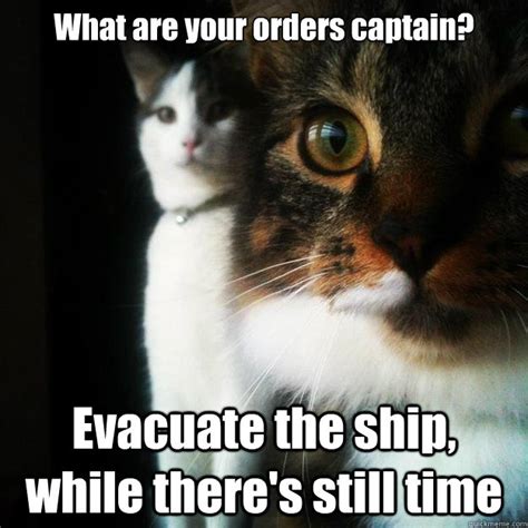 What Are Your Orders Captain Evacuate The Ship While Theres Still