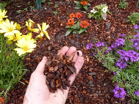 Submit an easy to fill out form and we will deliver to your house! Wood Chips - mulch | Wood chips are the best garden mulch ...
