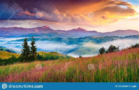 Colorful Morning Panorama Of The Carpathian Mountains Stock Image