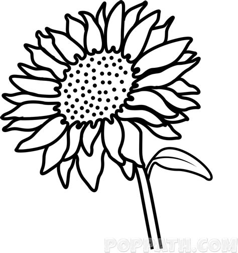Free 300 Simple Sunflower Clipart Png Svg Png Eps Dxf File
