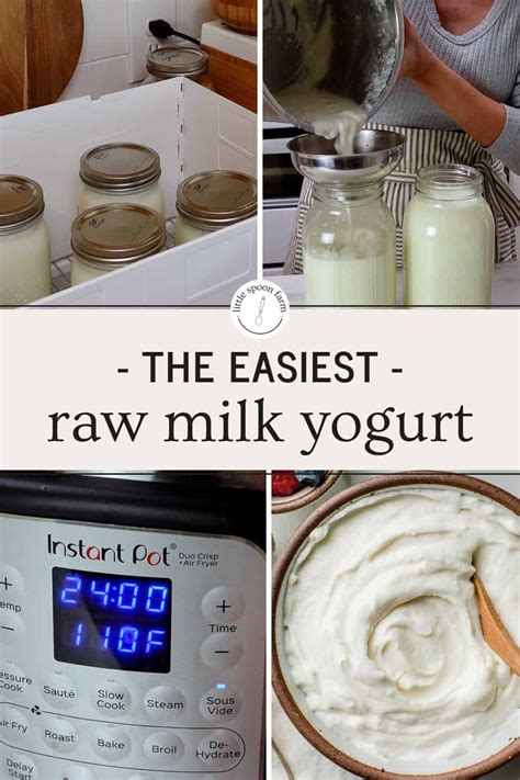 Make raw milk yogurt at home using an Instant Pot without a yogurt