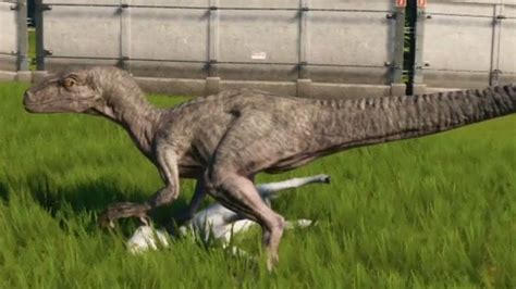 Jurassic World Evolution Velociraptor Tundra Skin Gameplay Ps4 Hd 1080p60fps Youtube