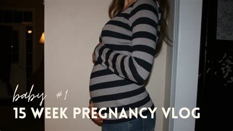 15 weeks pregnant pregnancy vlog youtube