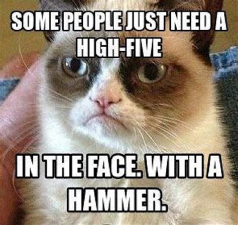 Funniest Grumpy Cat Memes Ever Updated Daily For More Funny Memes Check Our Homepage
