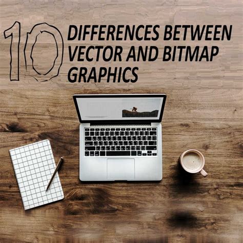 10 Differences Between Bitmap And Vector Graphics Film School 3d