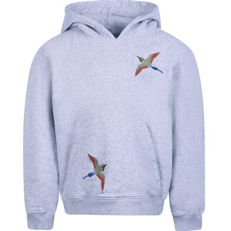 Axel Arigato Bird Logo Hoodie In Grey — Bambinifashioncom