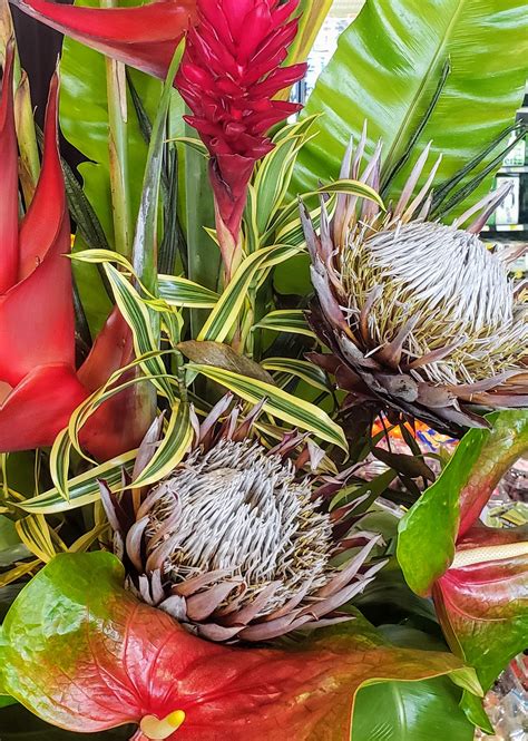 8 Most Beautiful Exotic Flowers of Hawaii - Mindfulness Memories