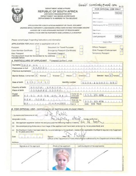 South African Passport Renewal Form Bi 73 Printable Form 2024