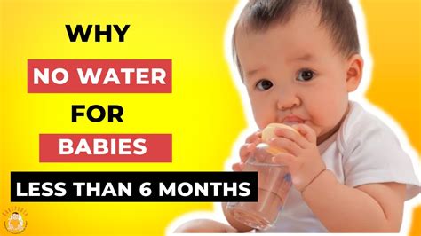 Why No Water For Babies Less Than 6 Monthswhy No Water For Babies