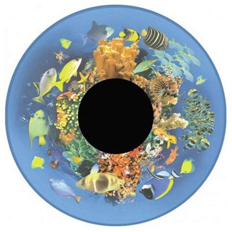 Projector Effects Wheel Tropical Fish Multimedia Products Audio