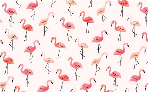 🔥 26 Cute Flamingo Desktop Wallpapers Wallpapersafari
