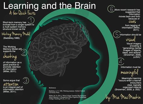 Learning And The Brain A Few Quick Facts Brain Based Learning Brain Learning Whole Brain