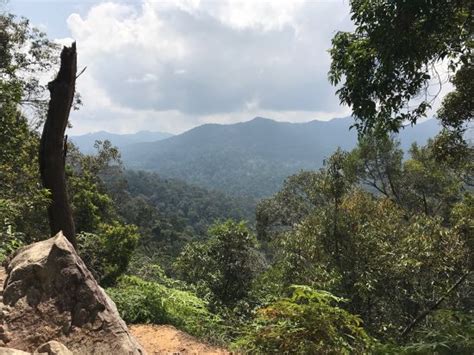 Taman Negara National Park Kelantan Aggiornato 2021 Tutto Quello