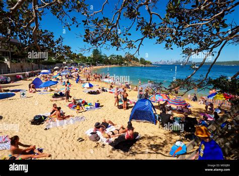 Camp Cove Beach On A Hot Summer Day South Head Reserve Watsons Bay