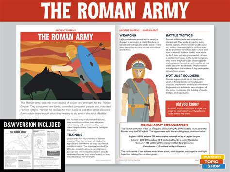 Ancient Romans The Roman Army Teaching Resources