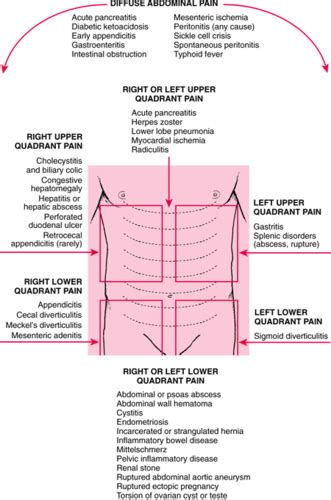 Left Upper Quadrant Abdominal Pain Female Ovulation Symptoms