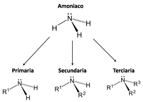 Check spelling or type a new query. Ejemplos De Aminas Primarias Secundarias Y Terciarias ...
