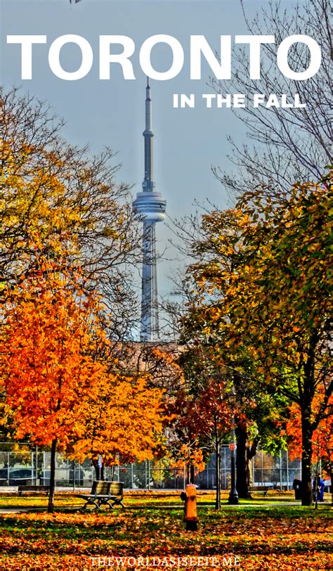 Discover The Top Spots To Experience Fall In Toronto From The Changing