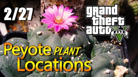 Gta 5 Peyote Plant Locations 0227 Youtube