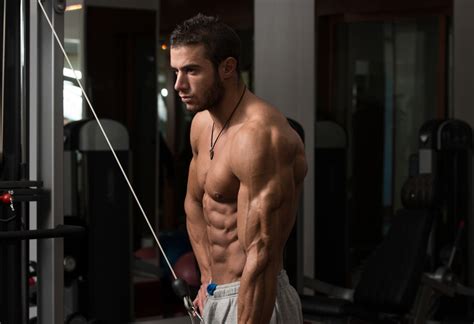 Trenbolone Enanthate Cycle Length And Dosage For Cutting