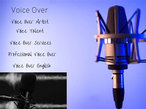 A Professional Voice Over Voice Over Artist Voice Over Services