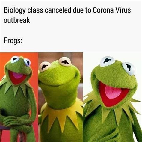 The Frog Meme Idlememe