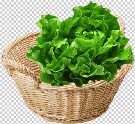 Lechuga Romana Hoja Vegetal Alimentos Org Nicos Primavera Verdes