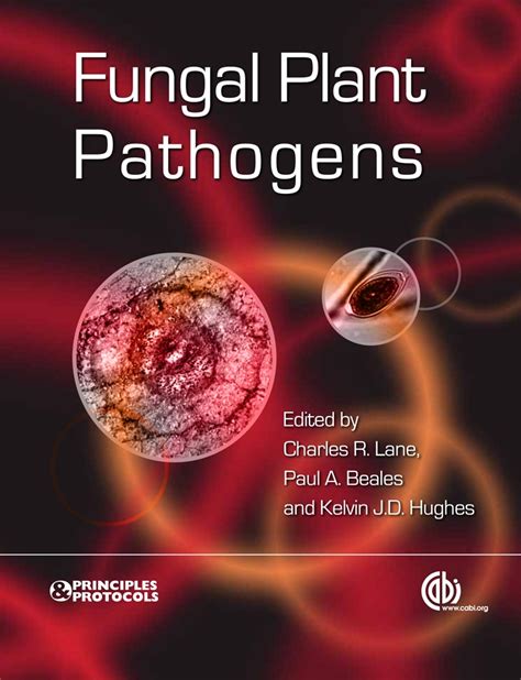 Fungal Plant Pathogens Principles And Protocols Series