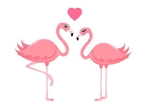 Two Pink Flamingos Standing With Heart Shape Symbol Isolated 4761873