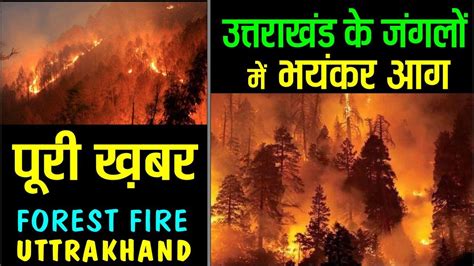Uttarakhand Forest Fire उत्तराखंड के जंगलों में लगी आग Uttrakhand