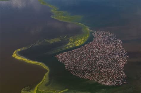 The Extreme Beauty Of Lake Logipi In Turkana County And The