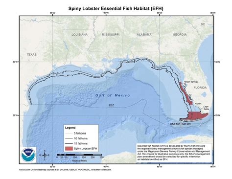 Spiny Lobster Essential Fish Habitat Efh Map And Gis Data Noaa Fisheries