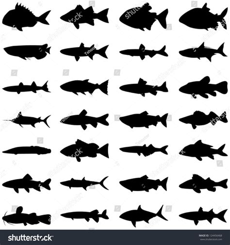 Download Illustration Vector Different Kinds Fish Silhouette Stock ...