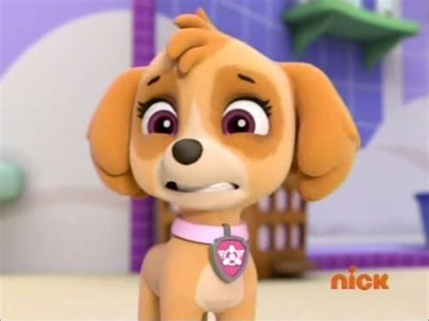 Skye The Cockapoo Paw Patrol Photo 40127310 Fanpop