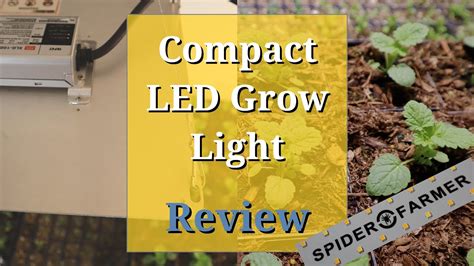 Spydr led grow light review. Spider Farmer SF1000 LED Grow Light Review - YouTube