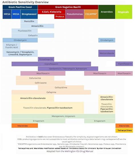 Antibiotic Sensitivity Overview Cheat Sheet Antibiotics Pharmacology