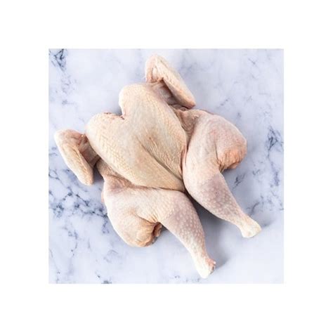 Frozen Whole Chicken Spatchcock At Best Price In Bloemfontein Page Global Export Pty Ltd